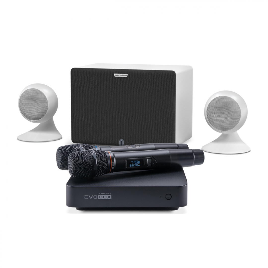 караоке-комплект EVOBOX Classic + EvoSound Sphere 2.1 в Туапсе
