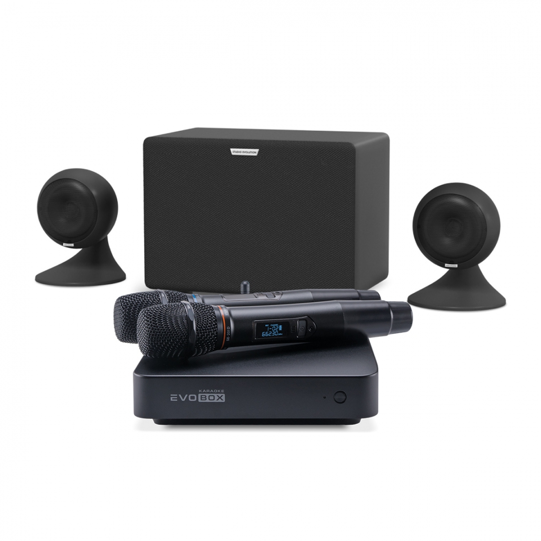 караоке-комплект EVOBOX Plus + EvoSound Sphere 2.1 в Туапсе