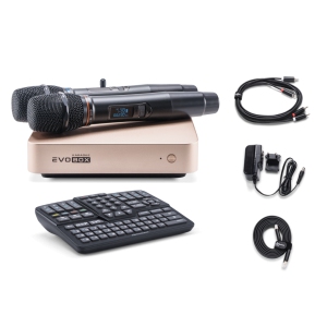 EVOBOX Classic караоке-система для дома в Туапсе